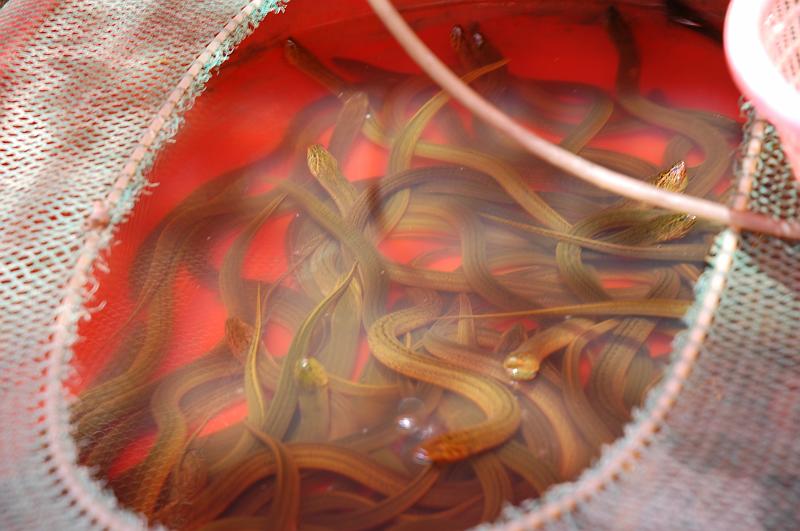 03-Bootsfahrt am Kaiserkanal_084.JPG